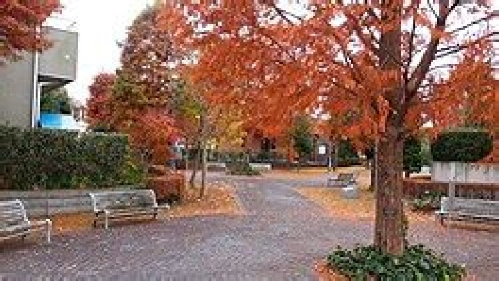 土浦「桜町パルコ」徹底ガイド｜行き方・見どころ・賑わいの理由